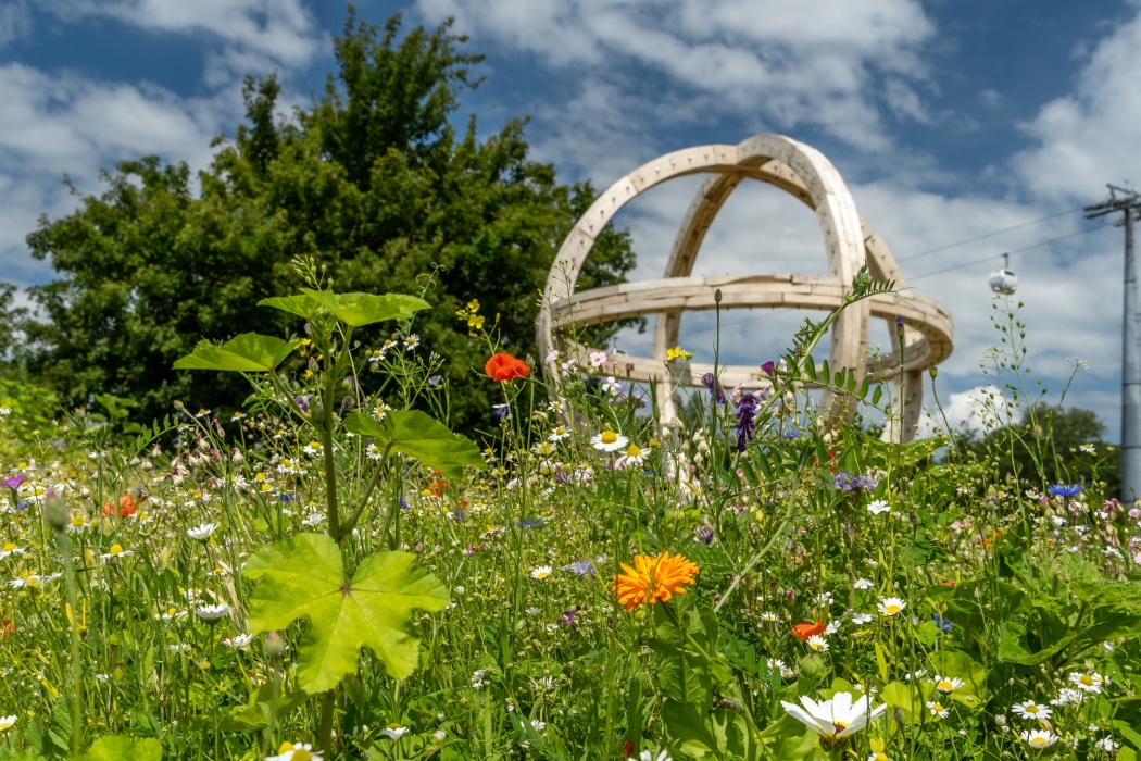 2022.07 Czech Republic FloriadeExpo2022 Fotolinie 2 mini