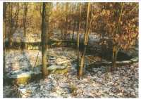 Lipová - zámecký park