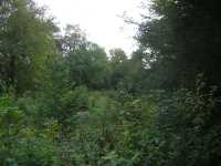 Lipová - zámecký park