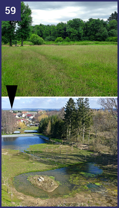 Slavičky  –  Malá vodní nádrž s tůní a mokřady